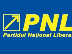 pnl