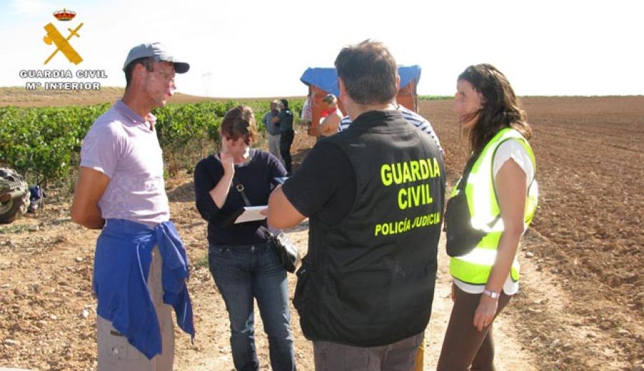 Români exploatați de conaționali pe terenurile viticole din La Rioja