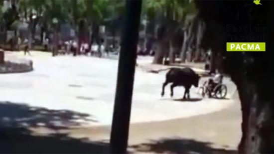 Toledo: Un taur a scăpat pe stradă și a rănit 11 persoane