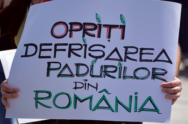 Protest la Madrid: „Împreună salvăm pădurile României!”