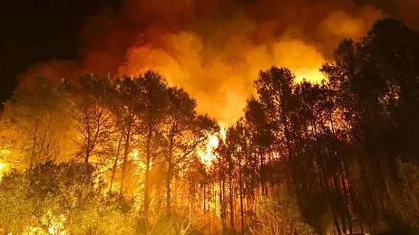 Incendiu de proporții în estul Spaniei. Armata și pompierii se luptă de trei zile cu focul
