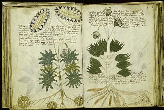 Misteriosul manuscris Voynich, reprodus de o editură din Spania