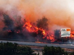 Incendiu de pădure