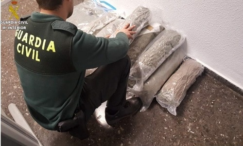 Valencia. Român prins cu 15 kilograme de marijuana. Le-a spus polițiștilor că sunt plante medicinale